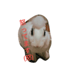 メロンさん①（個別スタンプ：2）
