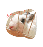 メロンさん①（個別スタンプ：3）