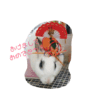 メロンさん①（個別スタンプ：4）