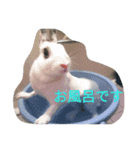 メロンさん①（個別スタンプ：6）