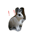 メロンさん①（個別スタンプ：7）