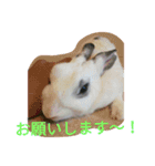 メロンさん①（個別スタンプ：11）