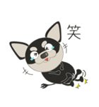 愛犬とめ吉の日常バージョン2（個別スタンプ：8）