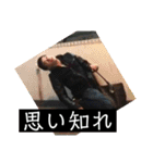 かんちゃんスタンプ 入門編（個別スタンプ：7）