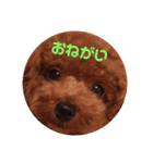 ワンコファミリー（個別スタンプ：3）