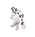 れんとひま（個別スタンプ：26）