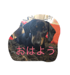 アトムエイト（個別スタンプ：3）