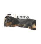 アトムエイト（個別スタンプ：7）