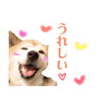 みんなのだいちゃん（個別スタンプ：5）
