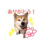 みんなのだいちゃん（個別スタンプ：15）