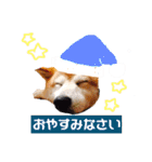 みんなのだいちゃん（個別スタンプ：17）