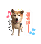 みんなのだいちゃん（個別スタンプ：25）