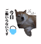 みんなのだいちゃん（個別スタンプ：27）