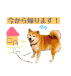 みんなのだいちゃん（個別スタンプ：28）