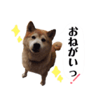 みんなのだいちゃん（個別スタンプ：32）