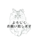 おすわり猫（個別スタンプ：2）