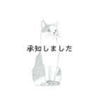 おすわり猫（個別スタンプ：3）