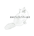 おすわり猫（個別スタンプ：4）
