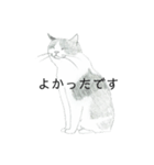 おすわり猫（個別スタンプ：7）