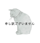 おすわり猫（個別スタンプ：9）