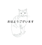 おすわり猫（個別スタンプ：11）