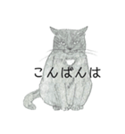 おすわり猫（個別スタンプ：14）