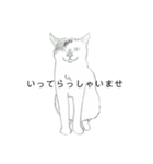 おすわり猫（個別スタンプ：16）