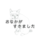 おすわり猫（個別スタンプ：22）