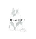 おすわり猫（個別スタンプ：24）