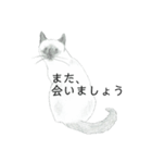おすわり猫（個別スタンプ：28）