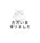 おすわり猫（個別スタンプ：29）