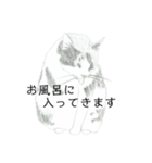 おすわり猫（個別スタンプ：31）