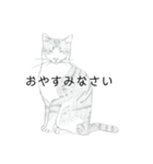 おすわり猫（個別スタンプ：33）