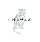 おすわり猫（個別スタンプ：37）