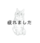おすわり猫（個別スタンプ：40）