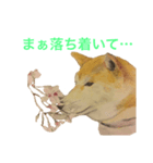 水彩わんこの世界（個別スタンプ：8）
