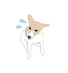 うちのジャックラッセルテリア（個別スタンプ：4）
