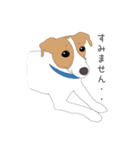 うちのジャックラッセルテリア（個別スタンプ：7）