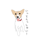 うちのジャックラッセルテリア（個別スタンプ：8）