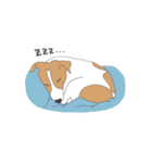 うちのジャックラッセルテリア（個別スタンプ：11）
