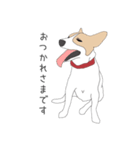 うちのジャックラッセルテリア（個別スタンプ：14）