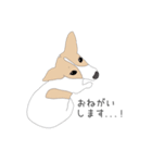 うちのジャックラッセルテリア（個別スタンプ：22）