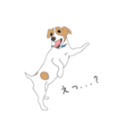 うちのジャックラッセルテリア（個別スタンプ：39）