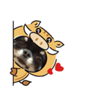 ゆにスタンプだワン3（個別スタンプ：15）
