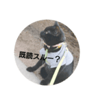 つくしすたんぷ。3（個別スタンプ：3）