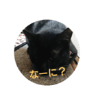 つくしすたんぷ。3（個別スタンプ：4）