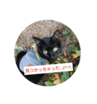 つくしすたんぷ。3（個別スタンプ：6）