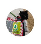 つくしすたんぷ。3（個別スタンプ：7）