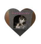 Rainくんฅ^•ﻌ•^ฅ（個別スタンプ：2）