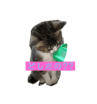 Rainくんฅ^•ﻌ•^ฅ（個別スタンプ：4）